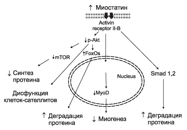 Изображение на обложке