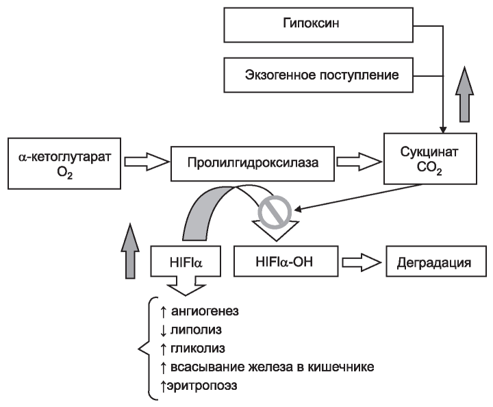 Изображение на обложке