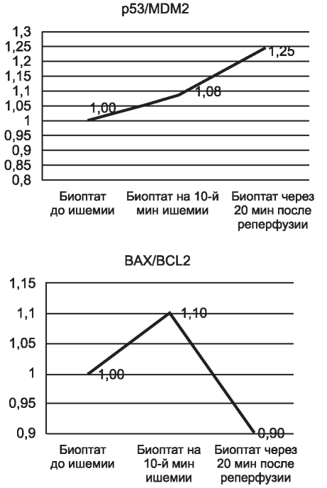 Изображение на обложке