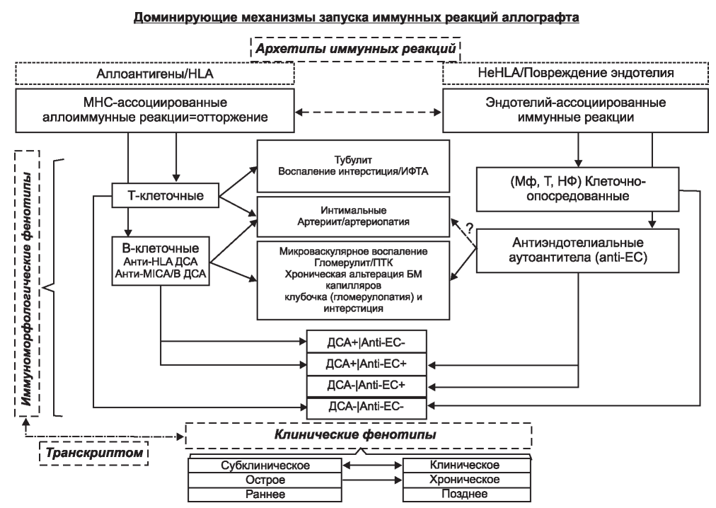 Изображение на обложке